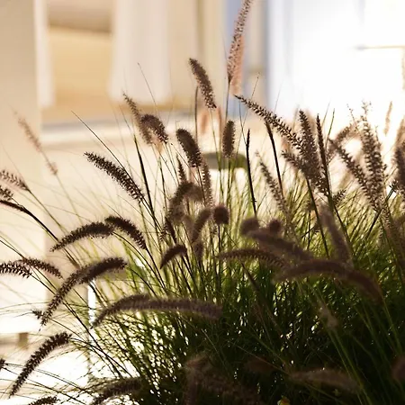 Ariti's 1 - Naxos * Stelida (Naxos)