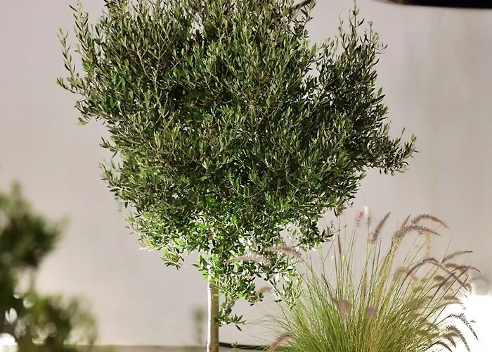 Villa Ariti's 1 - Naxos *