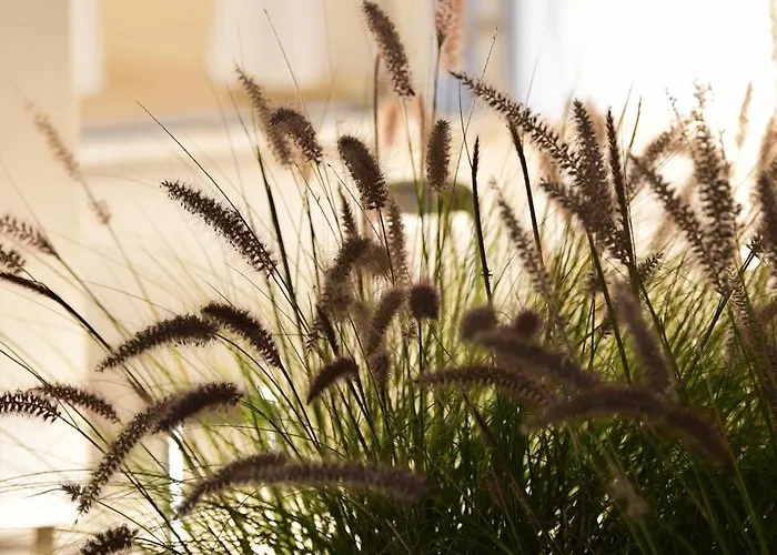 Ariti's 1 - Naxos * Sztelída