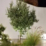 Villa Ariti's 1 - Naxos *
