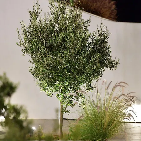 Villa Ariti's 1 - Naxos *